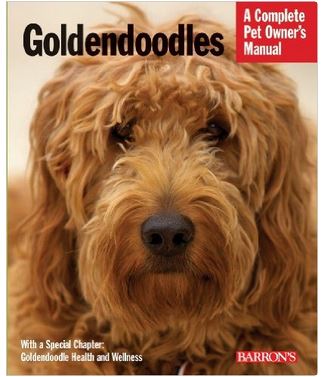 Goldendoodles – The Complete Pet Owner’s Manual